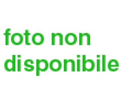 ACIDO-CITRICO-AMMORBIDENTE-ANTICALCARE-1KG