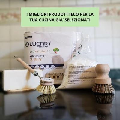 pulizia e lavaggio piatti ecologica